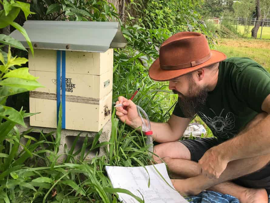 Bee researcher Tobias Smith wants to recruit citizen scientists to monitor native bees.