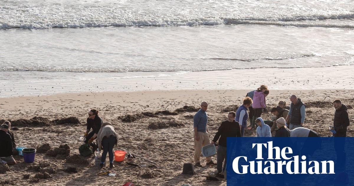 At least 15 English sewage plants use plastic beads spilled at Camber Sands