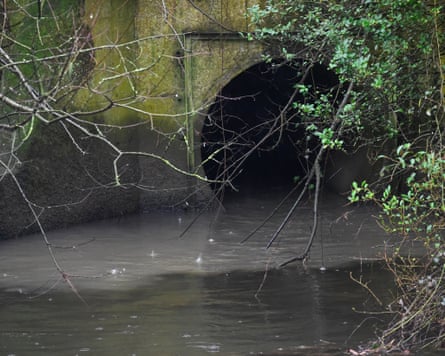 A pipe from a sewerage treatment works discharges into a river