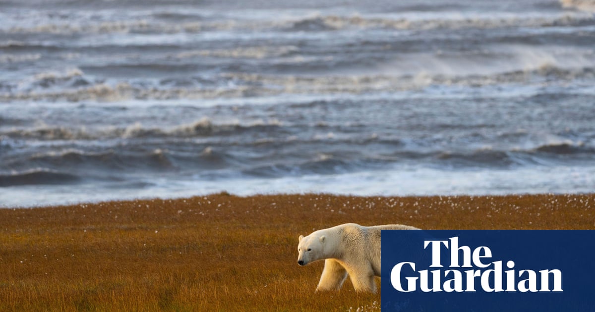 EU aims for greater Arctic role and calls for oil, coal and gas to stay in the ground