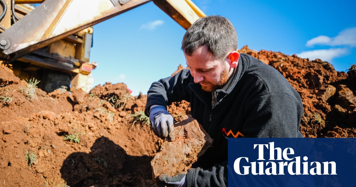 ‘A Rosetta Stone’: Australian fossil site is a vivid window into 15m-year-old rainforest