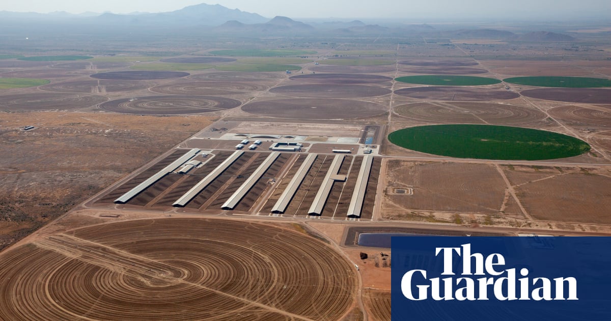 Mega-dairies, disappearing wells, and Arizona’s deepening water crisis