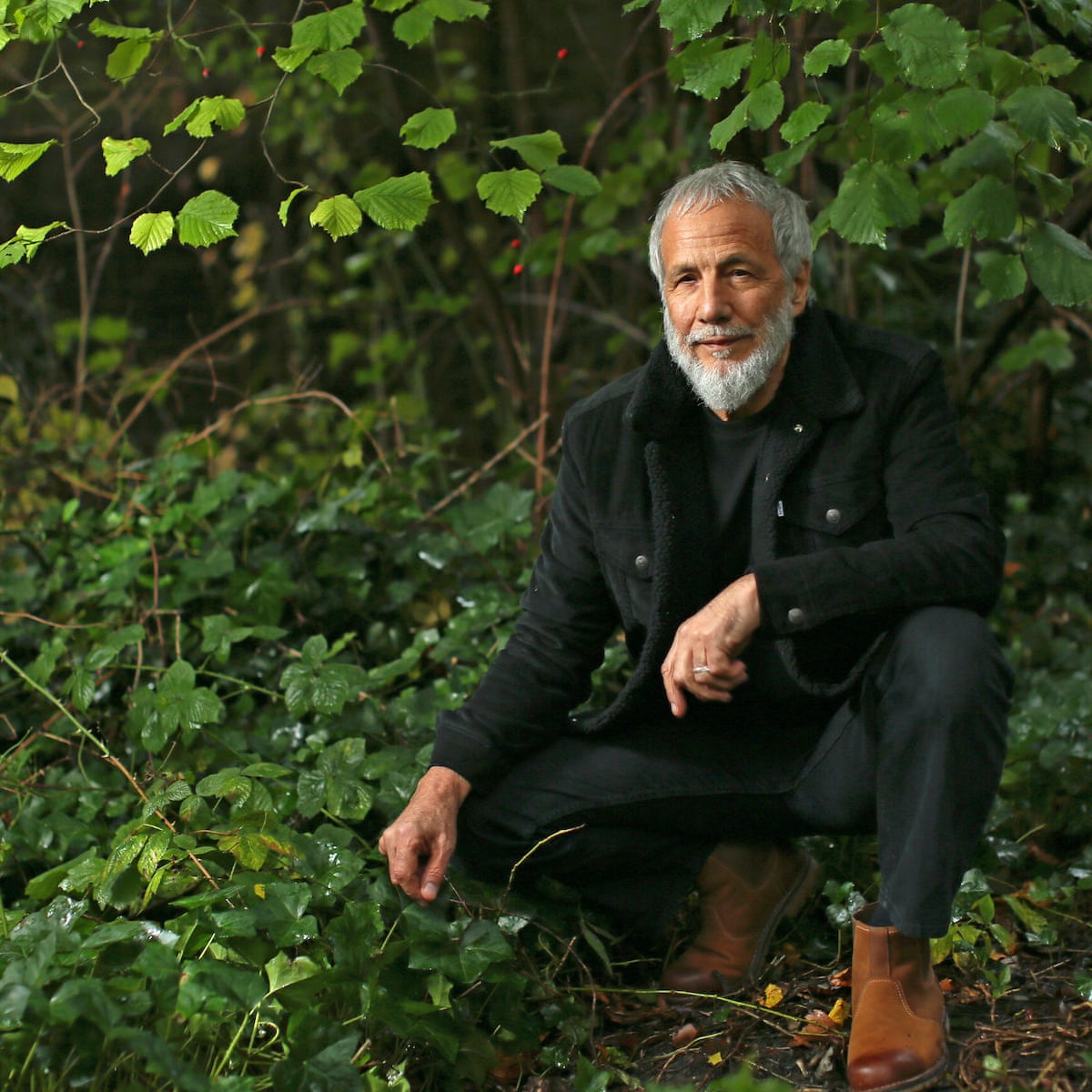 Yusuf Cat Stevens On Islam The Fatwa And Playing Guitar Again Desert Island Discs The Guardian Yusuf Cat Stevens On Islam The Fatwa And Playing Guitar Again Desert Island Discs The Guardian