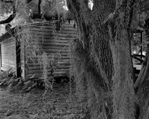 Cabin and Spanish Moss, 2019Dawoud Bey’s series In This Here Place evokes the past through images of now unpopulated landscapes