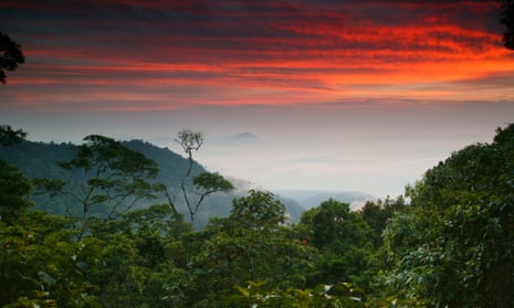 The Panama landscape is seen at dawn at Cerro Pirre, Darién national park. 