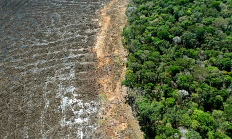 Deforestation in the Brazilian Amazon