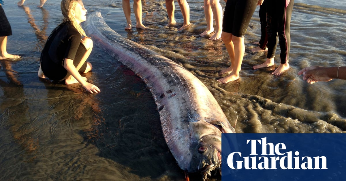 Japanese Urged Not To See Rare Fish As Omen Of Earthquakes