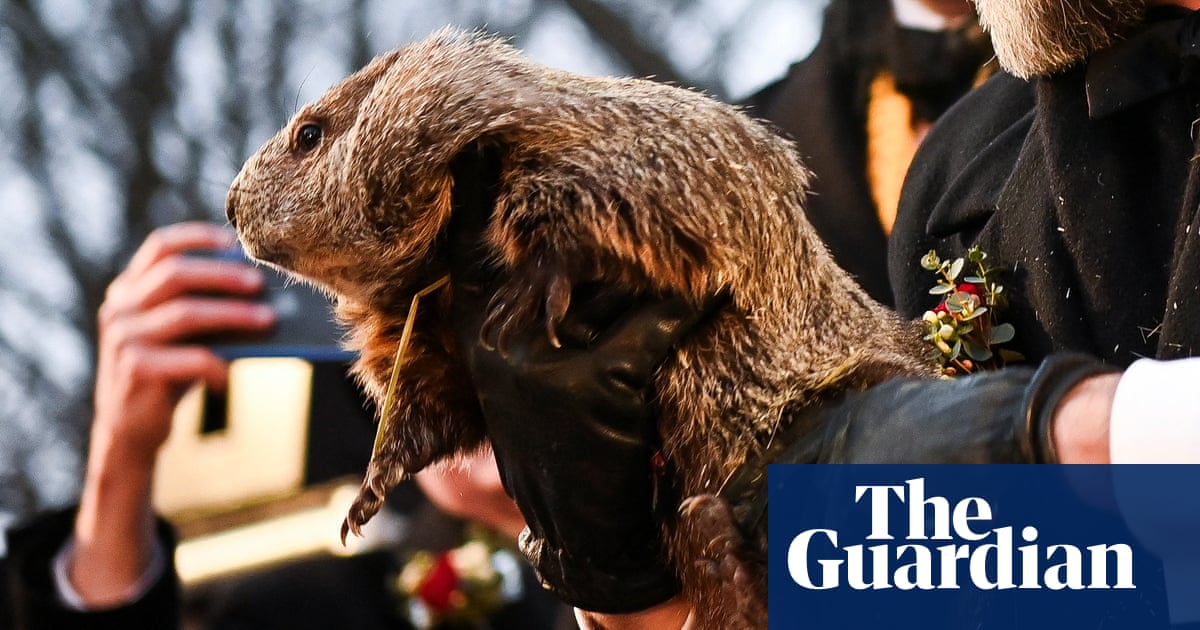 Groundhog Day: Punxsutawney Phil sees shadow, predicting longer winter