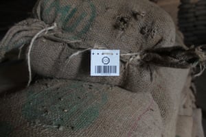 Jute bags of Ethiopian coffee beans, which can now be traced by global buyers to their regional origin using tagging technology.