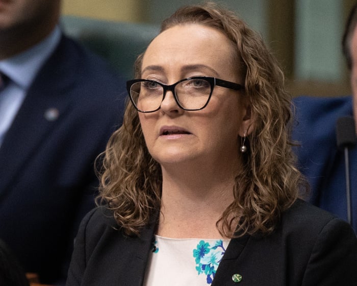 Labor MP questions Albanese on claim ‘good people’ went to anti-immigration rallies