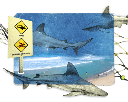 Shark bites have swimmers and surfers on edge and asking questions.