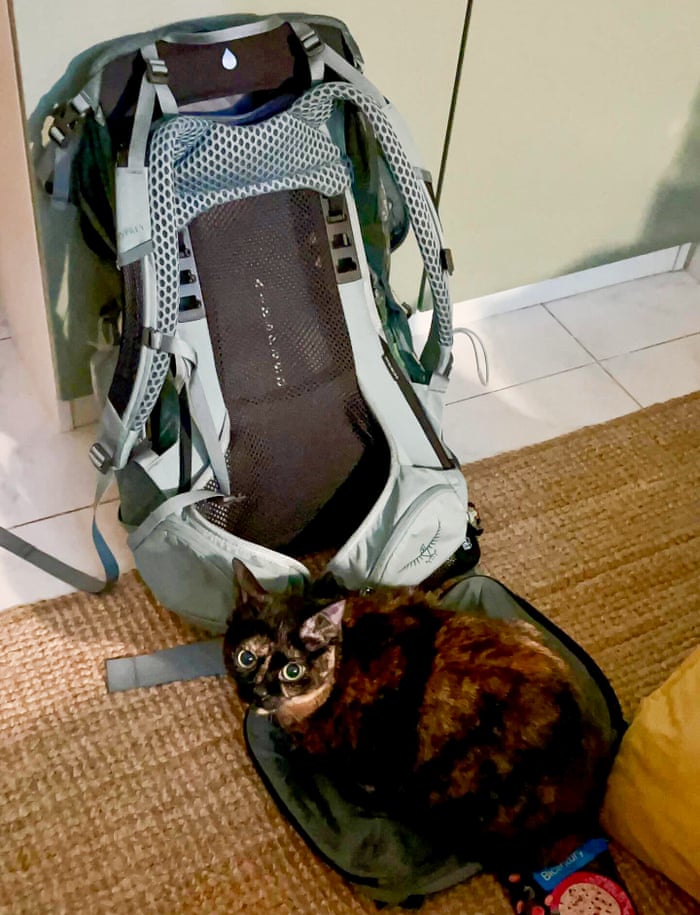 is osprey a good backpack company Daylite 44L Carry-On Travel Pack - Lightweight, Durable with Streamlined Design The Osprey Women Viva 45 Tunnel Vision Grey Backpack is the perfect companion for female adventurers seeking a reliable and comfortable travel buddy Osprey Carry-On Travel Backpacks |