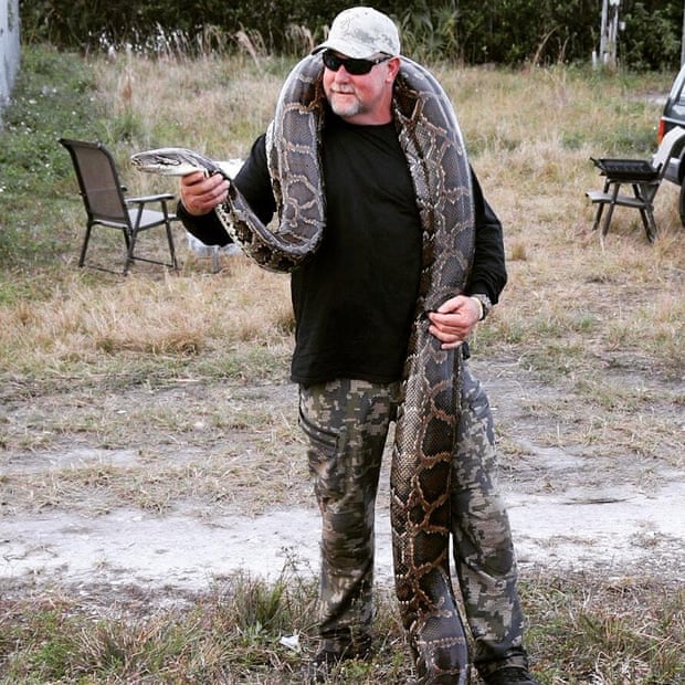 Python hunters to tackle Florida's unwelcome intruder 891