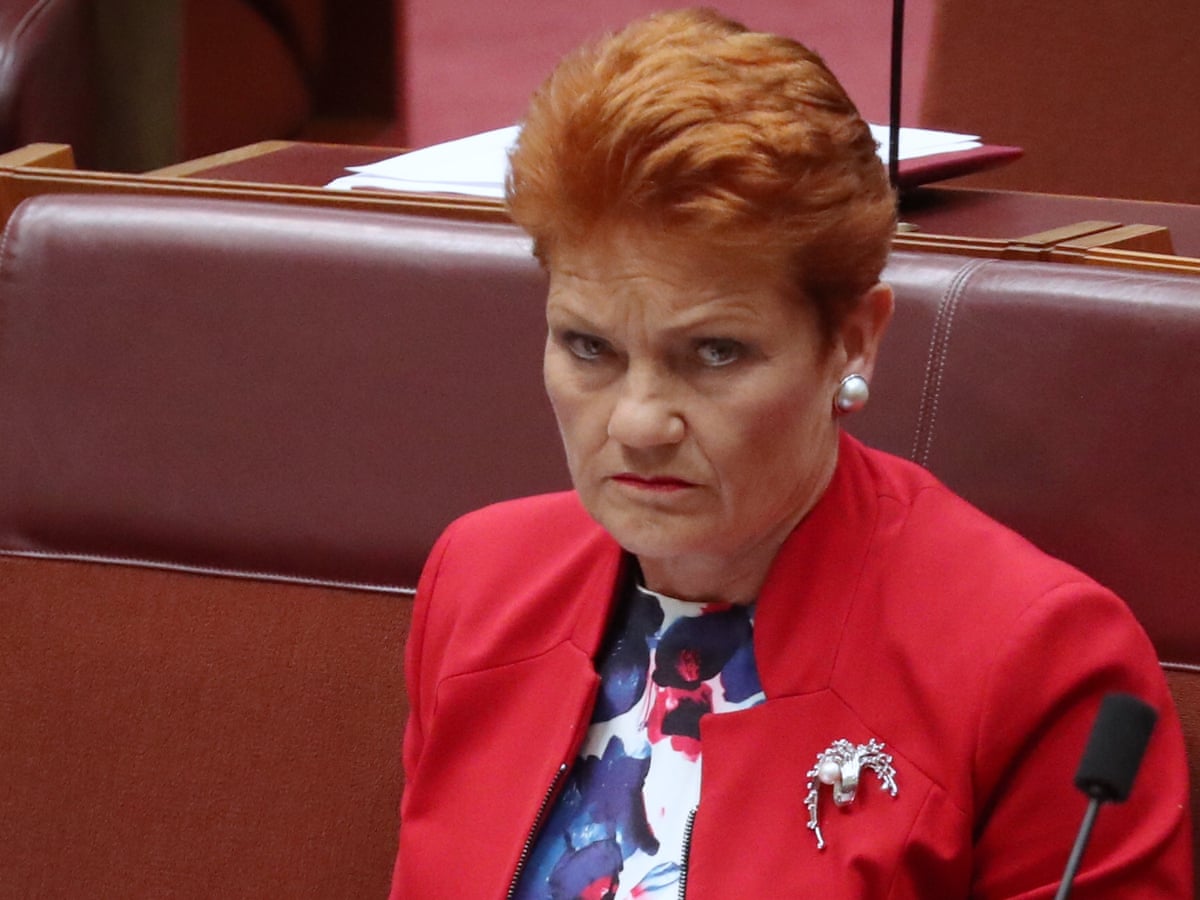 Clearly failed': Pauline Hanson blasts citizenship survey ...