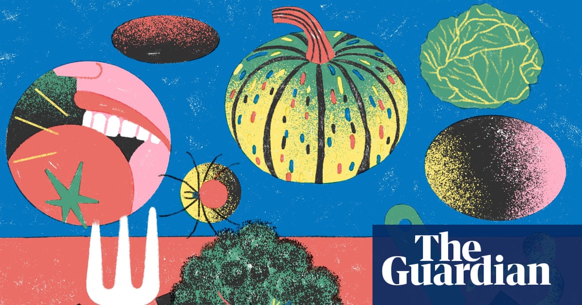 Start small, grow what you like and be realistic: how to start a vegetable garden