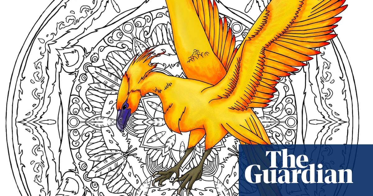 Download Colouring Harry Potter S Magical Creatures A Guide To Colouring In Fawkes In Pictures Children S Books The Guardian