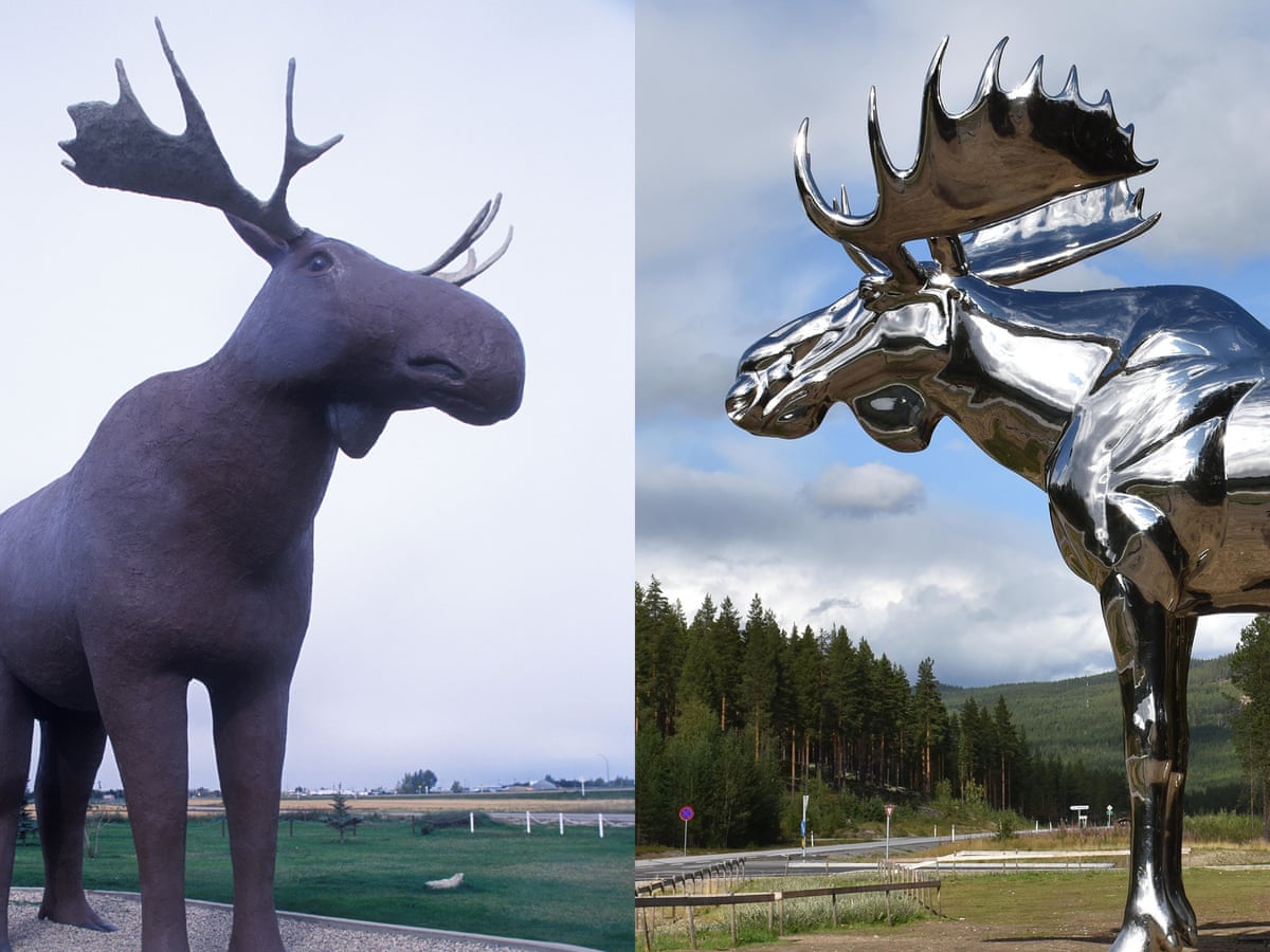 Biggest Moose in World: Discover the Majestic Giant in its Glory