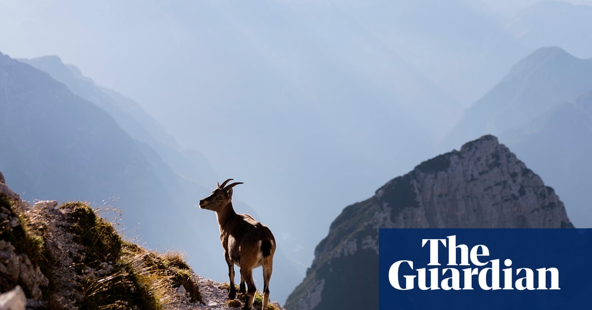 If you love adventure but not tourists': readers' favourite wild places in Europe
