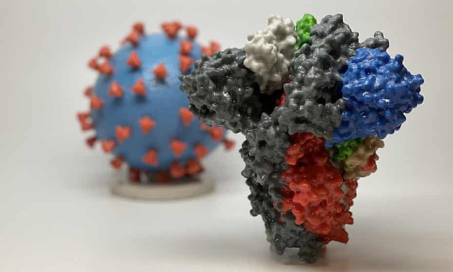 A 3D print of a spike protein of Sars-CoV-2, which the contributors are attempting to understand better.