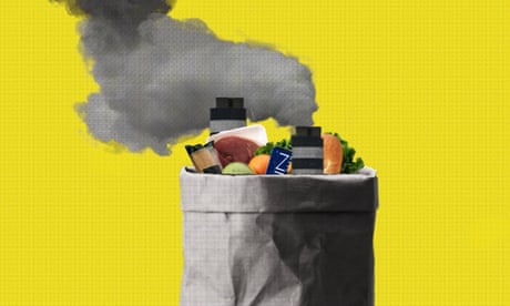 Scientists estimate that food production causes 35% of greenhouse gas emissions, and meat is responsible for more than twice the pollution of plants.