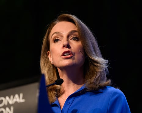 NSW opposition leader Kellie Sloane