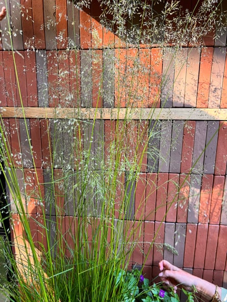 Grasses against tiled fence