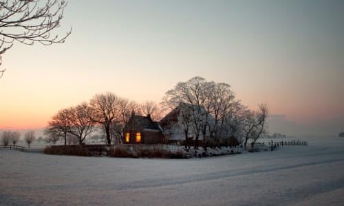 The Garden Of Evening Mists By Tan Twan Eng Review Books The