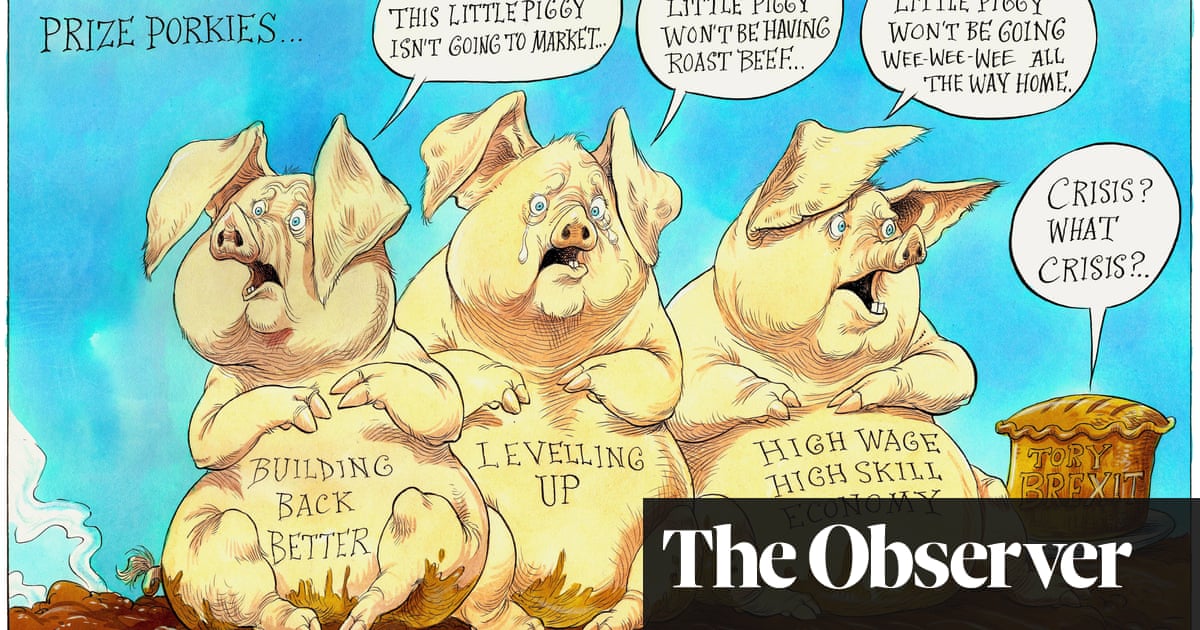 Boris Johnson’s prize porkies – cartoon