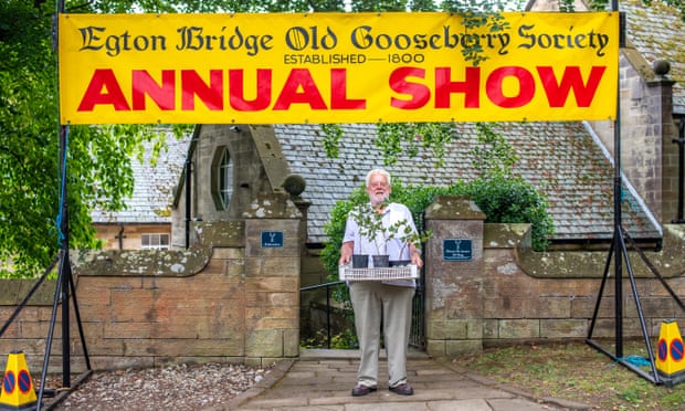 Egton Bridge gooseberry show