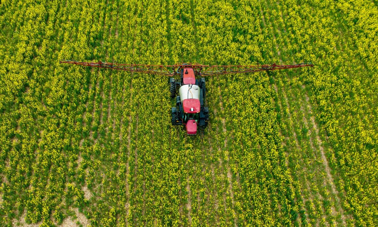Toxic ‘forever chemicals’ detected in commonly used insecticides in US, study finds Toxic ‘forever chemicals’ detected in commonly used insecticides in US, study finds