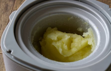 Sorbet in the Cuisinart Solo Scoops.