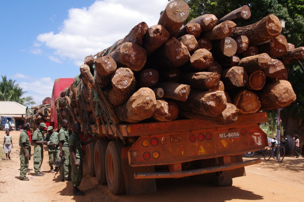 Timber loaded on a truck in Mozambique