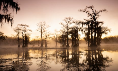 Lake Caddo, on the border between Louisiana and Texas, is a beautiful cypress swamp.