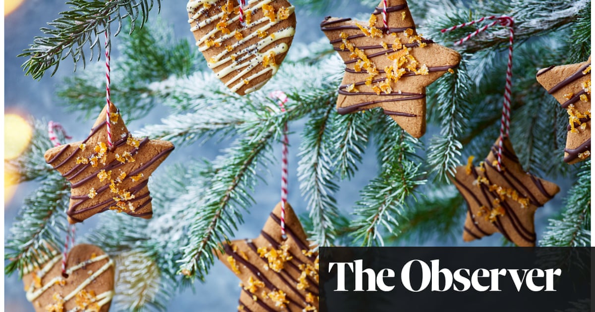Polish gingerbread cookies with chocolate, poppy seed and candied peel ...