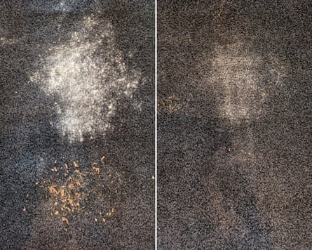 Eureka E20 Plus Before and After