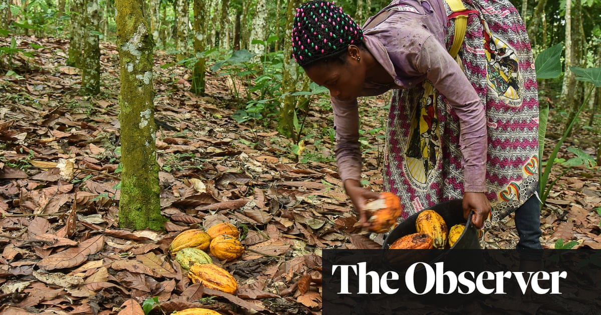 ‘Brands to avoid’: Mars and Cadbury among chocolate firms criticised in ethics report