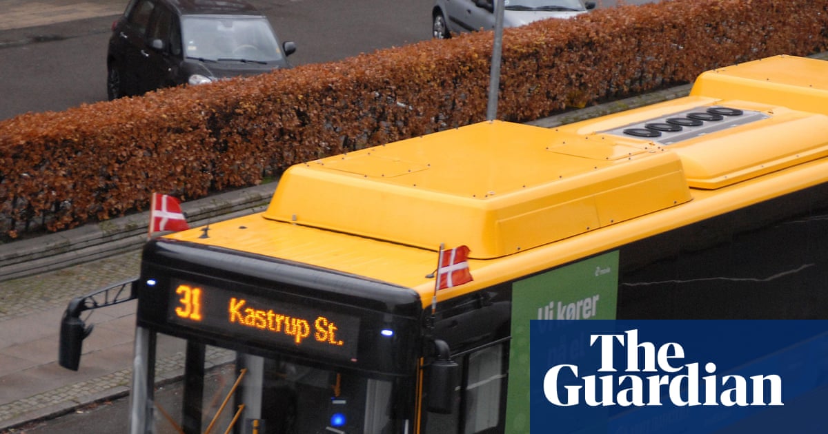 Danish authorities in rush to close security loophole in Chinese electric buses