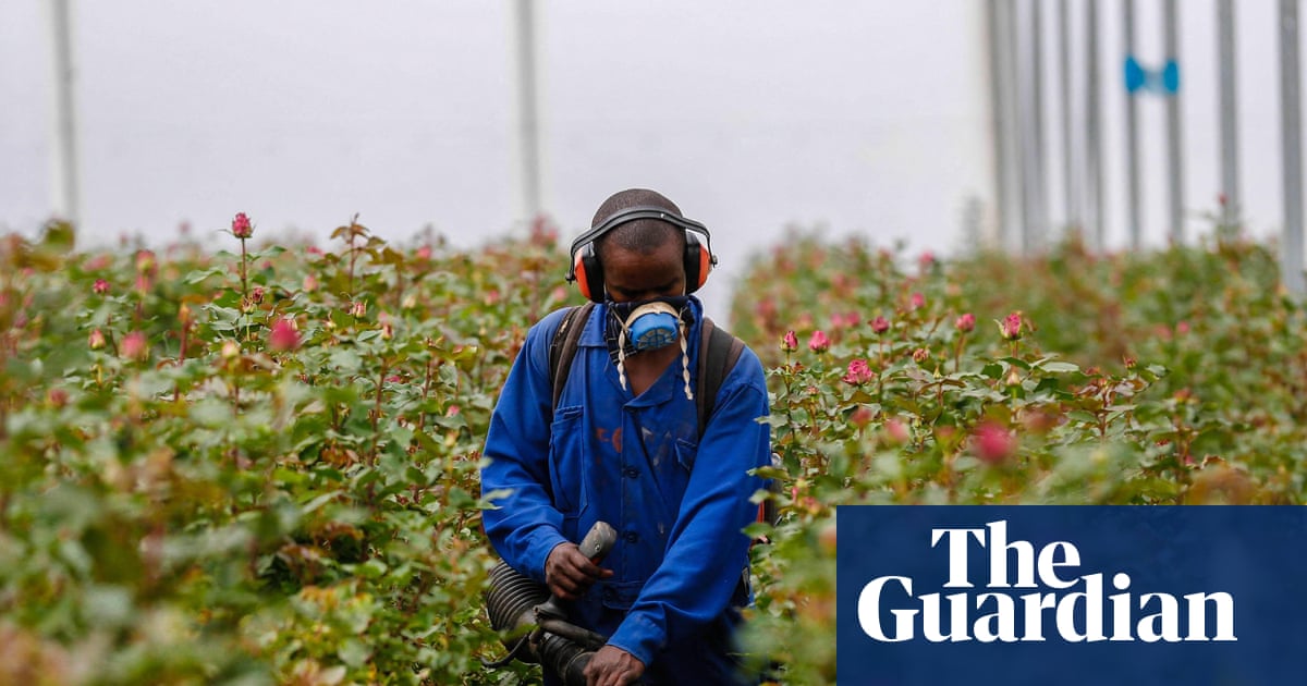 Kenya Faces Growing Environmental Challenges in Agriculture, Energy, and Public Health