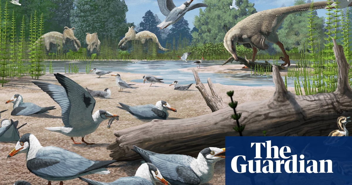 Birds were nesting in the Arctic during age of dinosaurs, scientists discover