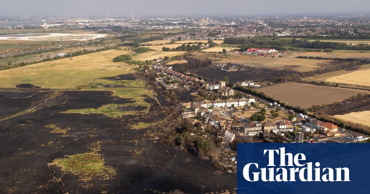 ‘It could have been a second Great Fire’: how east London blaze showed scale of UK wildfire threat