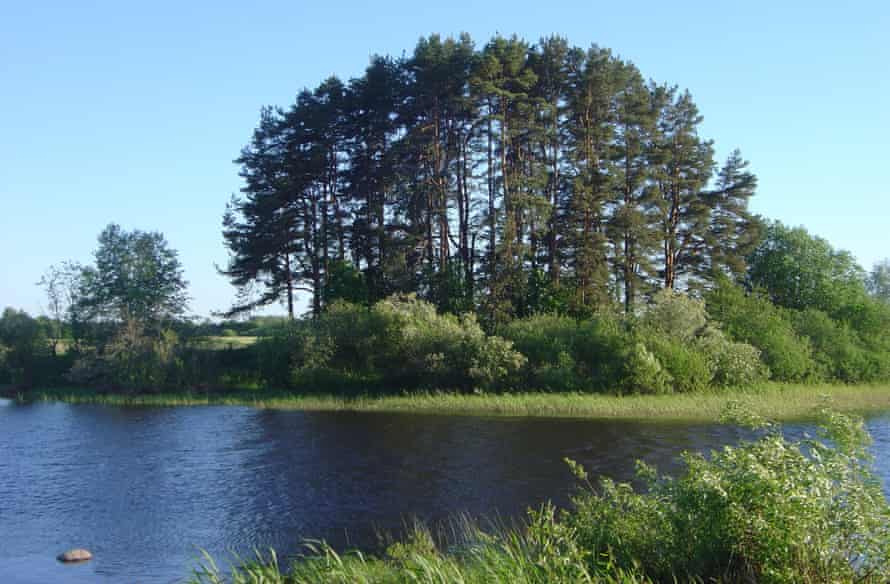 The Rinnukalns site, a Stone Age shell midden on the banks of the Salaca River near the outflow from Lake Burtniek.