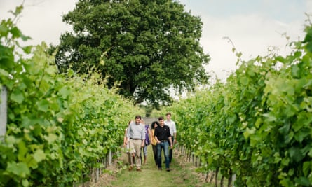 A tour of Gusbourne vineyard