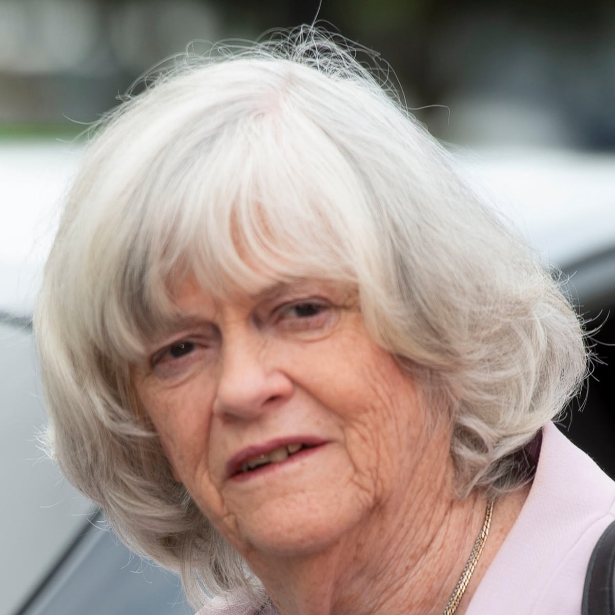 Ann Widdecombe one-woman show pulled after gay therapy remark | Ann  Widdecombe | The Guardian