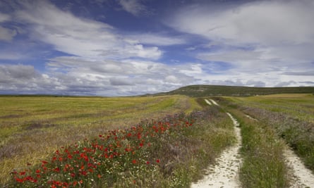 Landscape near Castrojeriz, Camino Frances