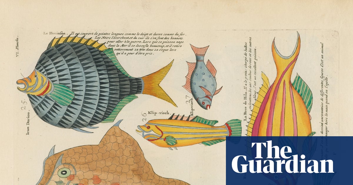 A bonanza for fans of the natural world: the digital library sharing 64m pages of scientific knowledge with everyone