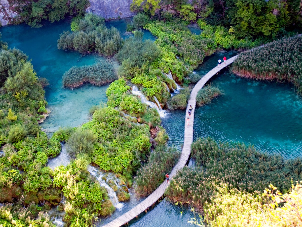 Tour operator Intrepid drops carbon offsets and emissions targets | Travel  & leisure | The Guardian