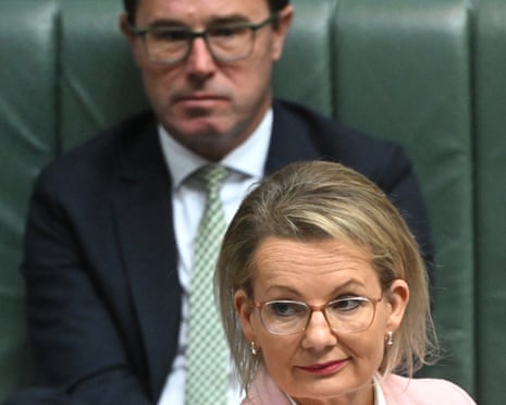 The opposition leader, Sussan Ley, reacts during question time