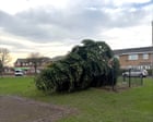 Albero di Natale di Shotton Colliery abbattuto: un atto di vandalismo scuote il villaggio