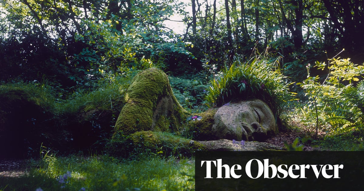 Cornwall’s sleeping beauty: the tale of Heligan’s lost gardens