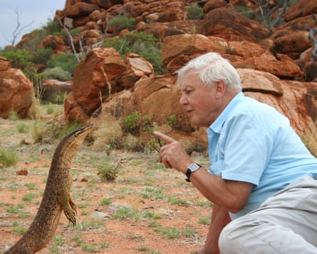 Sir David Attenborough looks at a lizard